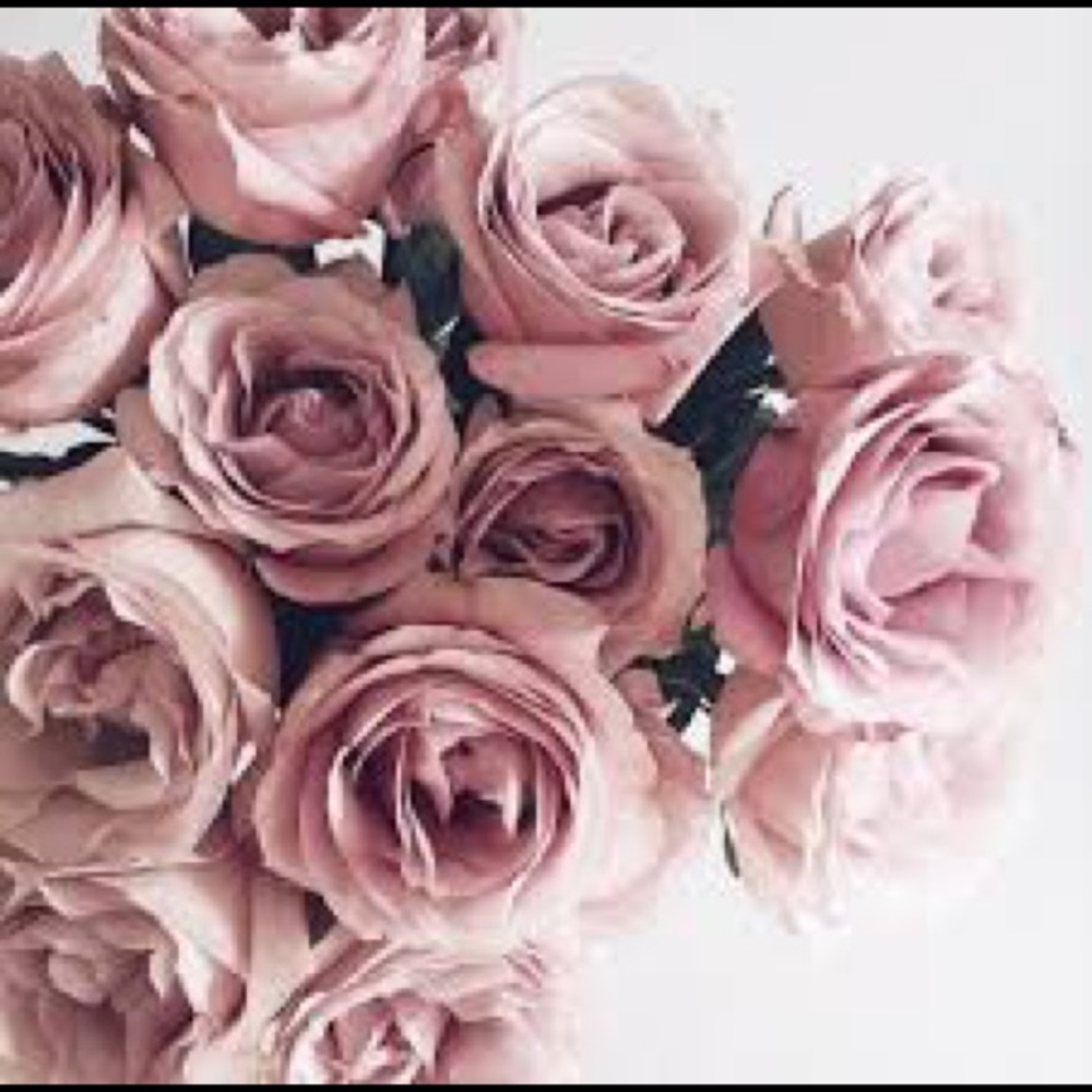 Meet your Posher, Kenzi